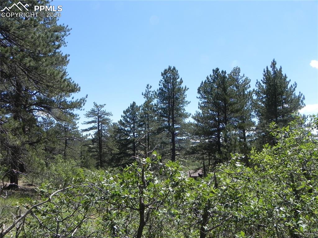 4144 Cheyenne Drive Larkspur CO 80118