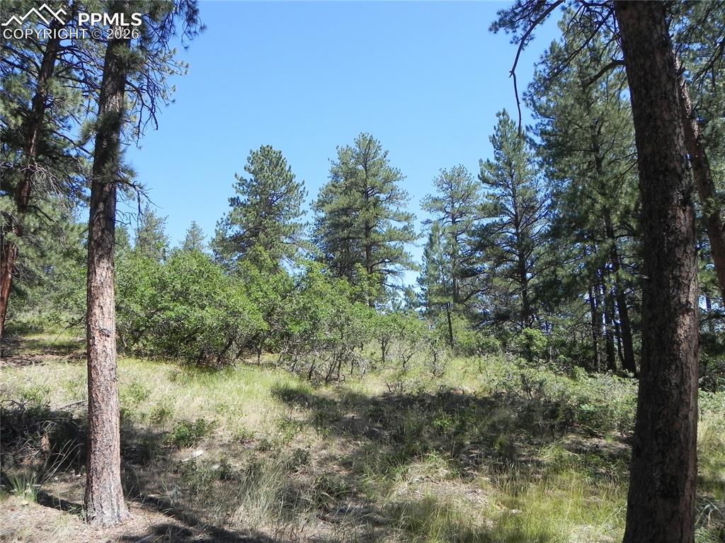 4144 Cheyenne Drive Larkspur CO 80118