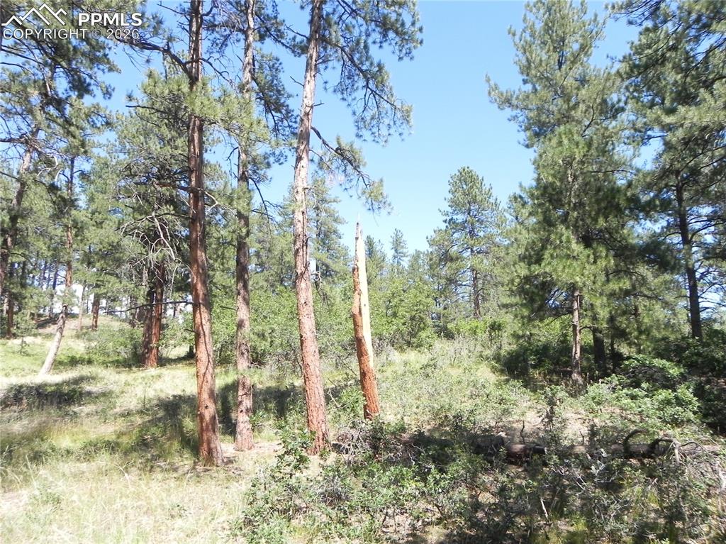 4144 Cheyenne Drive Larkspur CO 80118