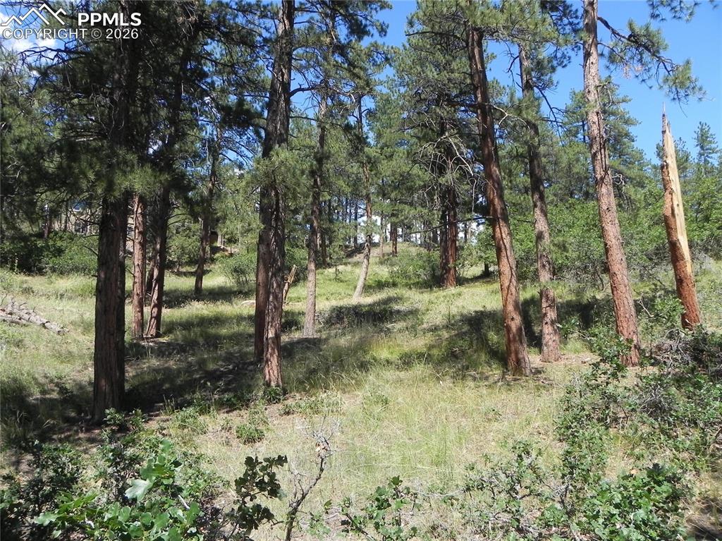 4144 Cheyenne Drive Larkspur CO 80118