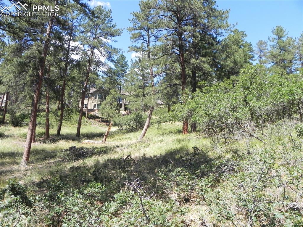 4144 Cheyenne Drive Larkspur CO 80118