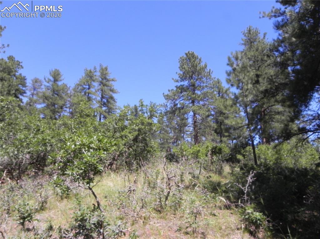 4144 Cheyenne Drive Larkspur CO 80118