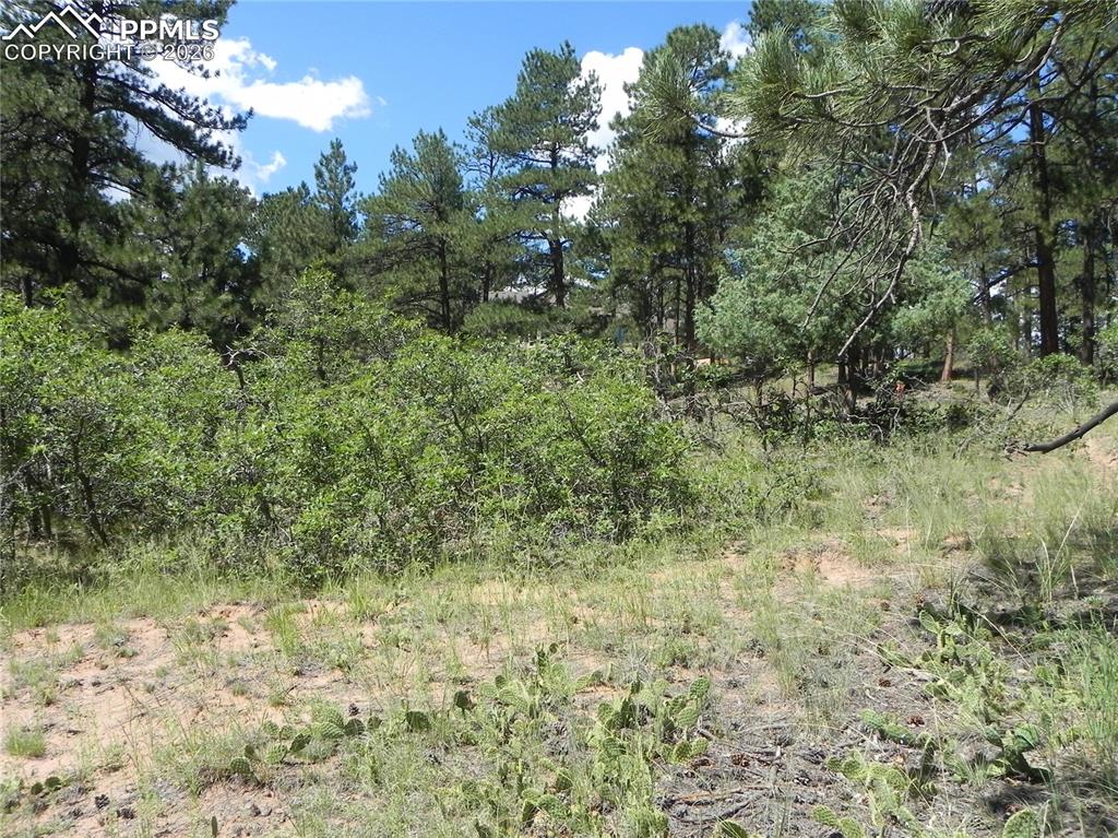4144 Cheyenne Drive Larkspur CO 80118