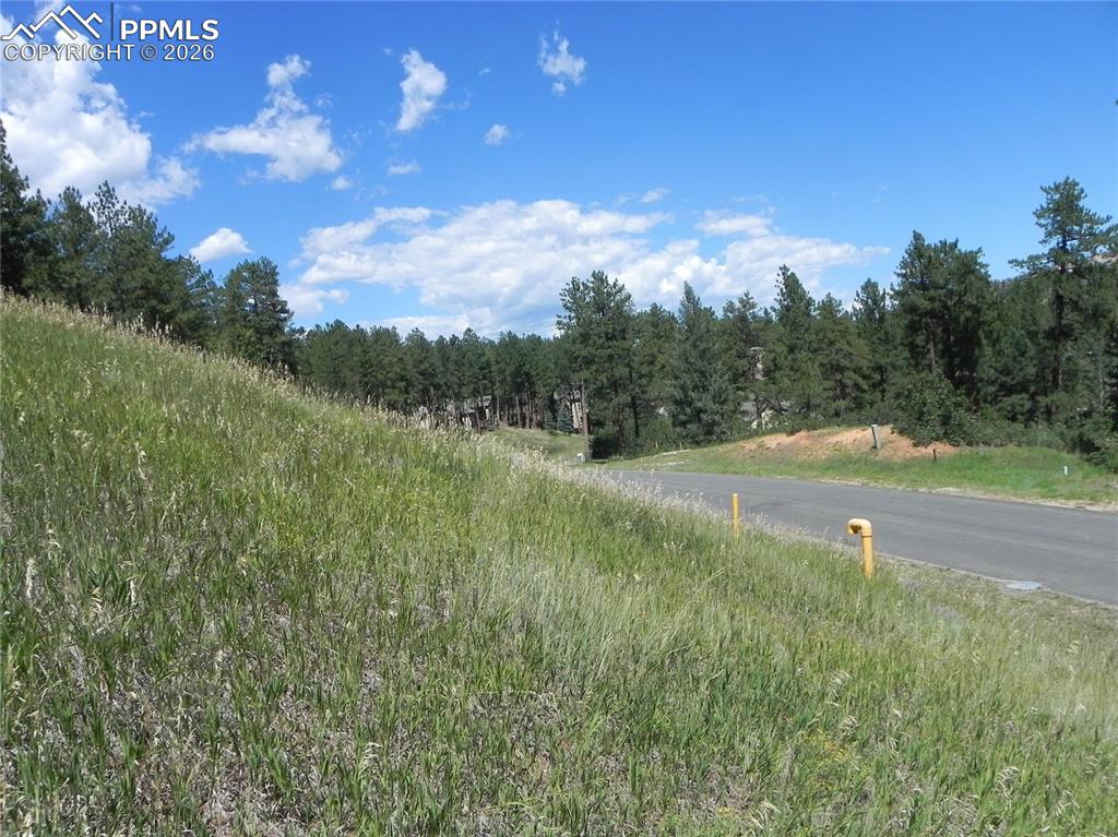 4144 Cheyenne Drive Larkspur CO 80118