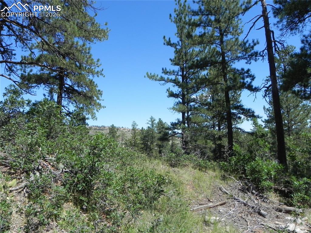 4144 Cheyenne Drive Larkspur CO 80118
