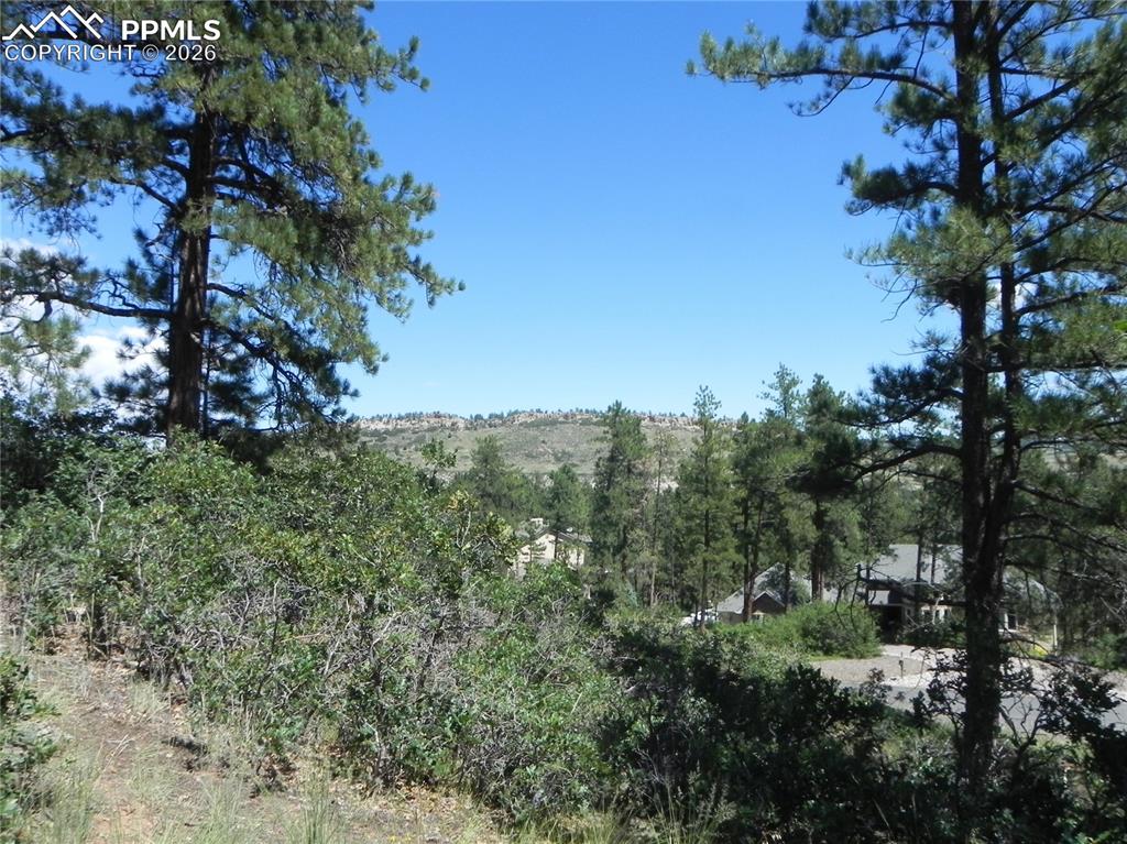 4144 Cheyenne Drive Larkspur CO 80118
