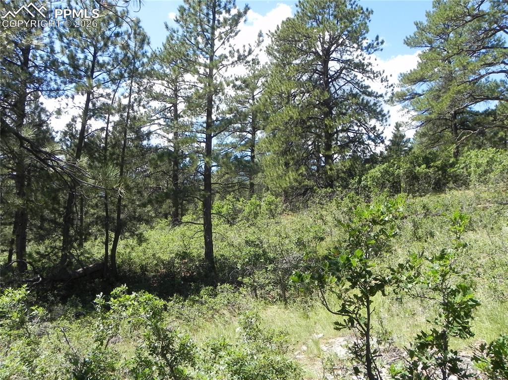 4144 Cheyenne Drive Larkspur CO 80118