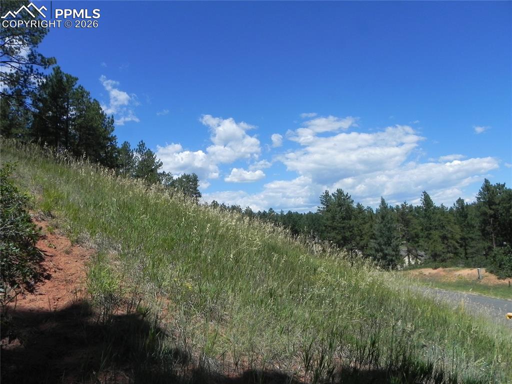 4144 Cheyenne Drive Larkspur CO 80118