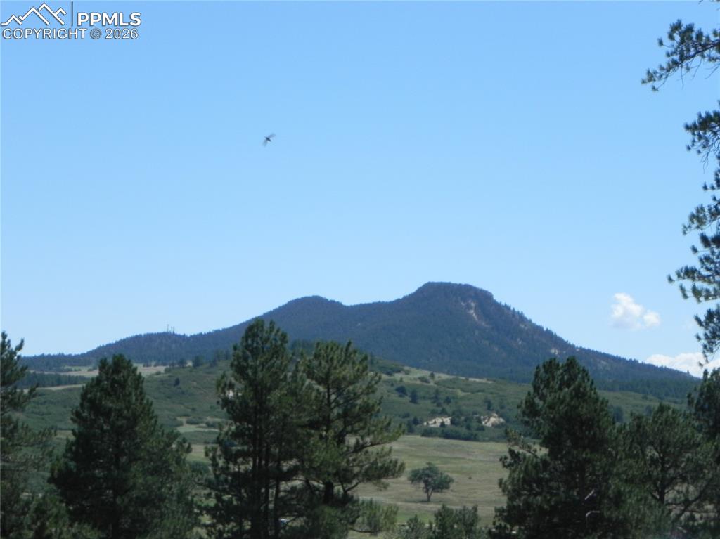4144 Cheyenne Drive Larkspur CO 80118
