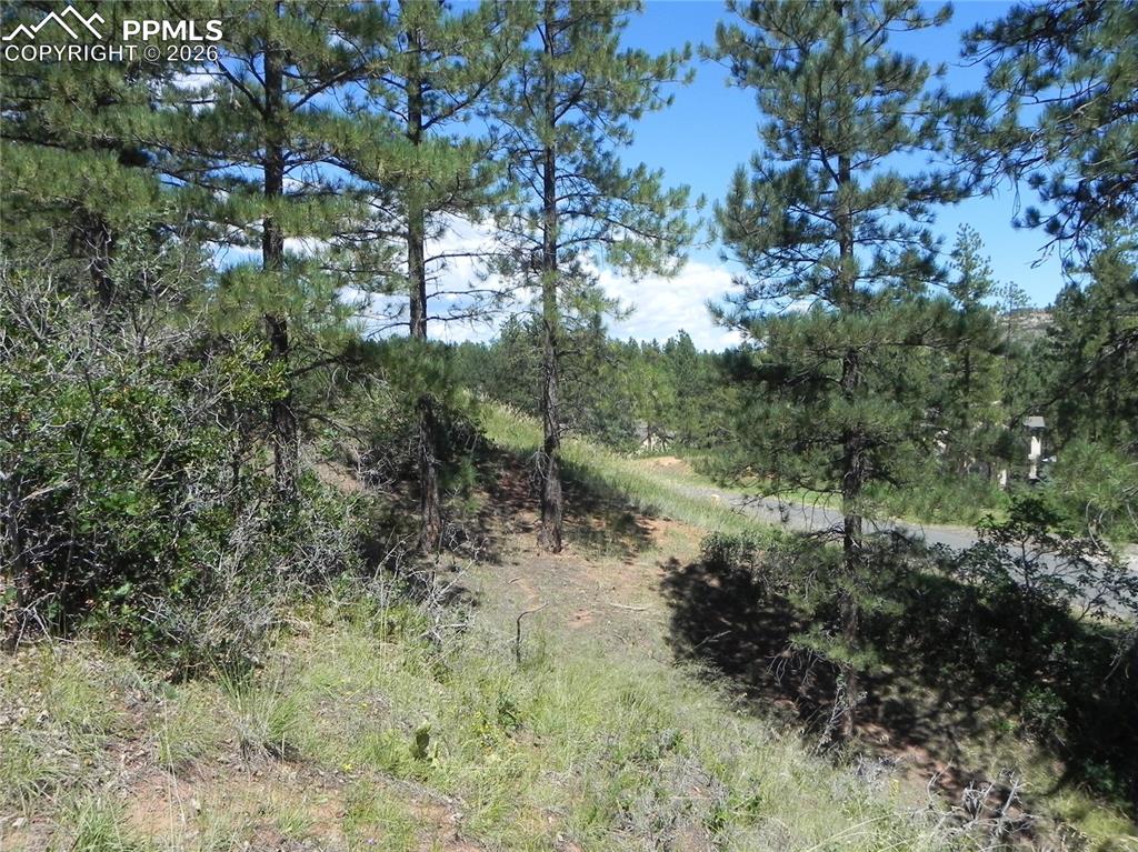 4144 Cheyenne Drive Larkspur CO 80118