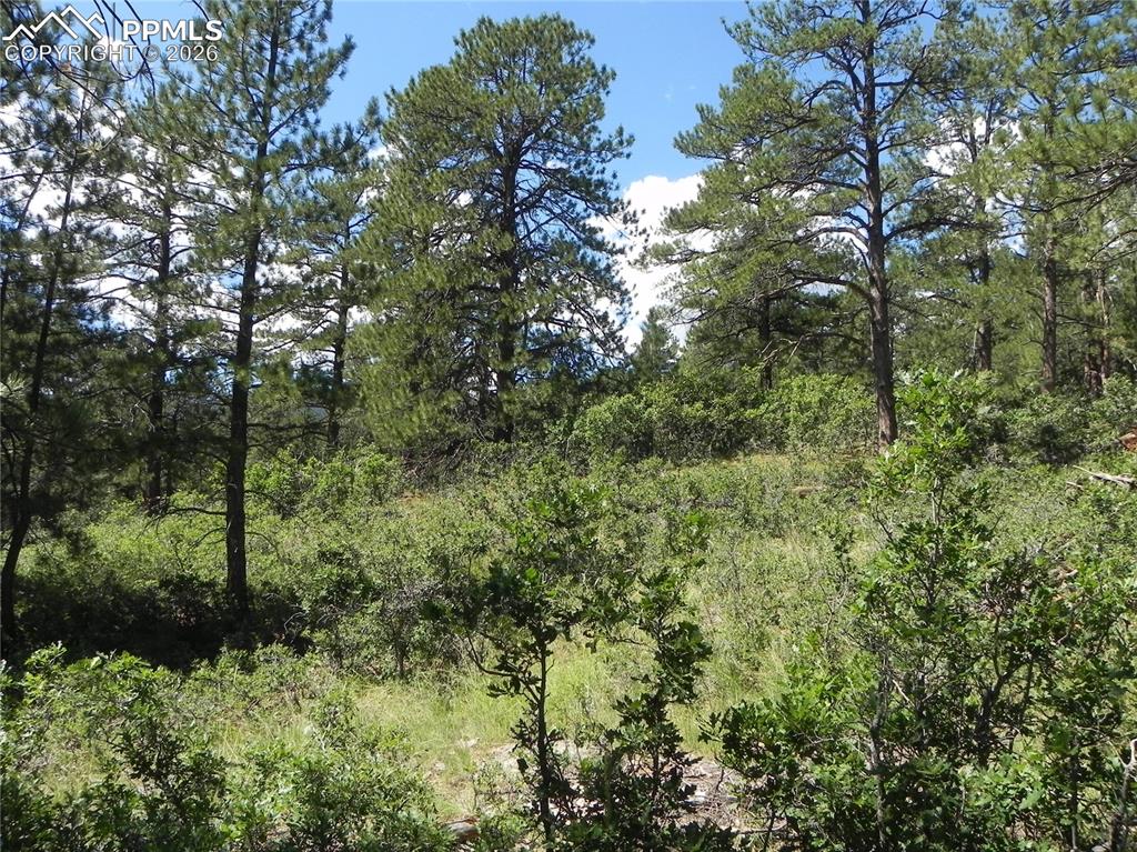 4144 Cheyenne Drive Larkspur CO 80118