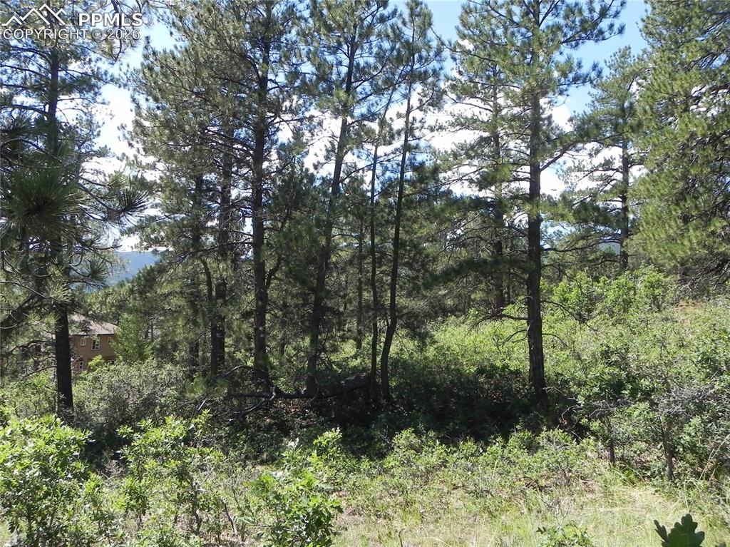 4144 Cheyenne Drive Larkspur CO 80118