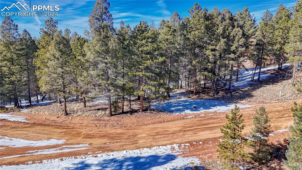 79 Huntsman Circle Florissant CO 80816