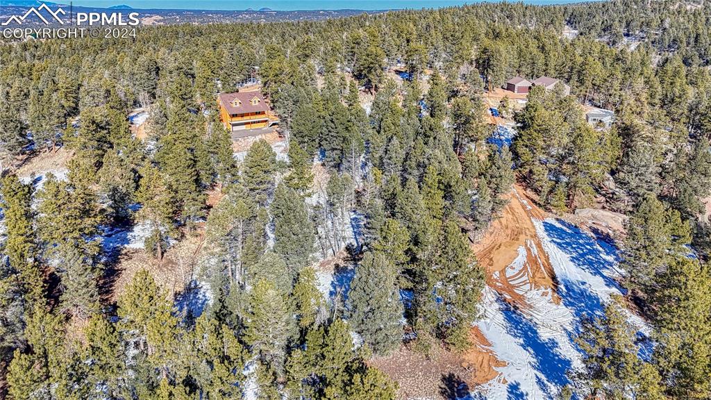 79 Huntsman Circle Florissant CO 80816
