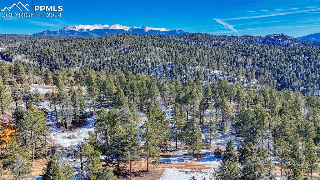 79 Huntsman Circle Florissant CO 80816