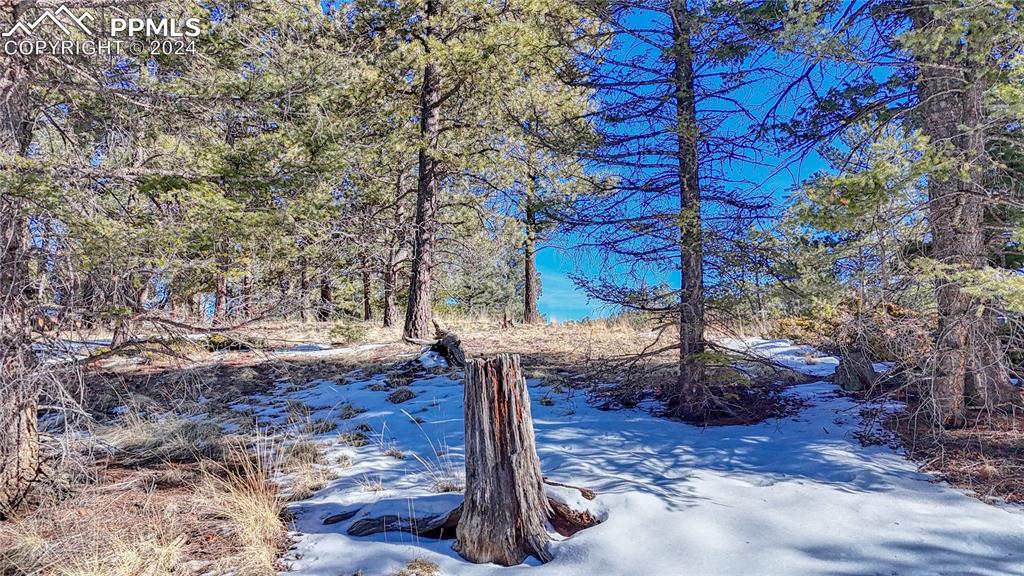 79 Huntsman Circle Florissant CO 80816