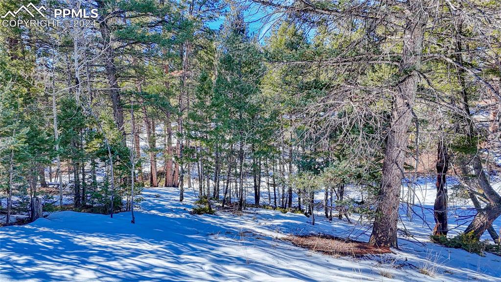 79 Huntsman Circle Florissant CO 80816