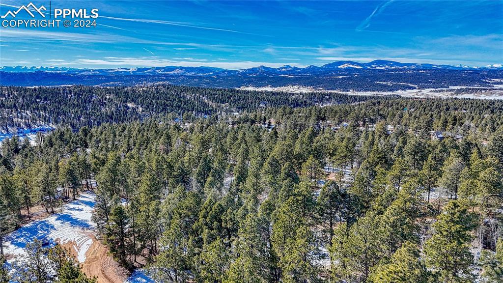 79 Huntsman Circle Florissant CO 80816