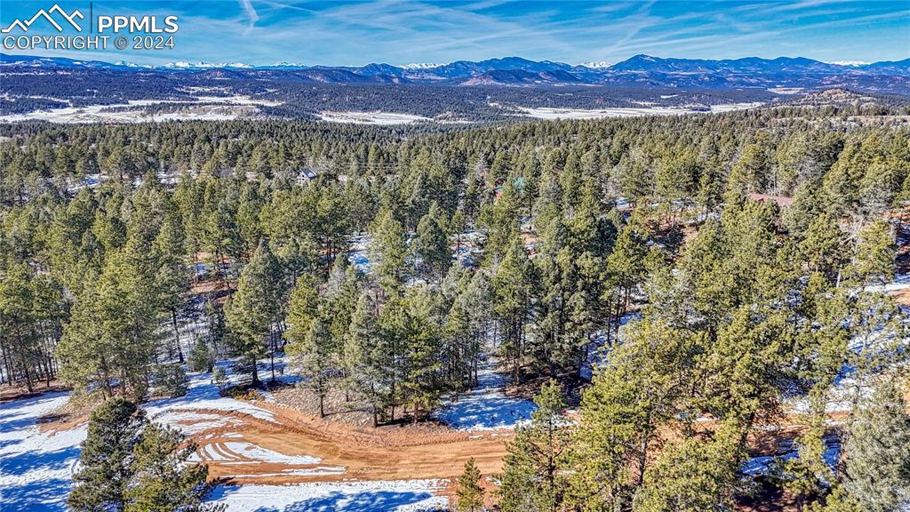 79 Huntsman Circle Florissant CO 80816