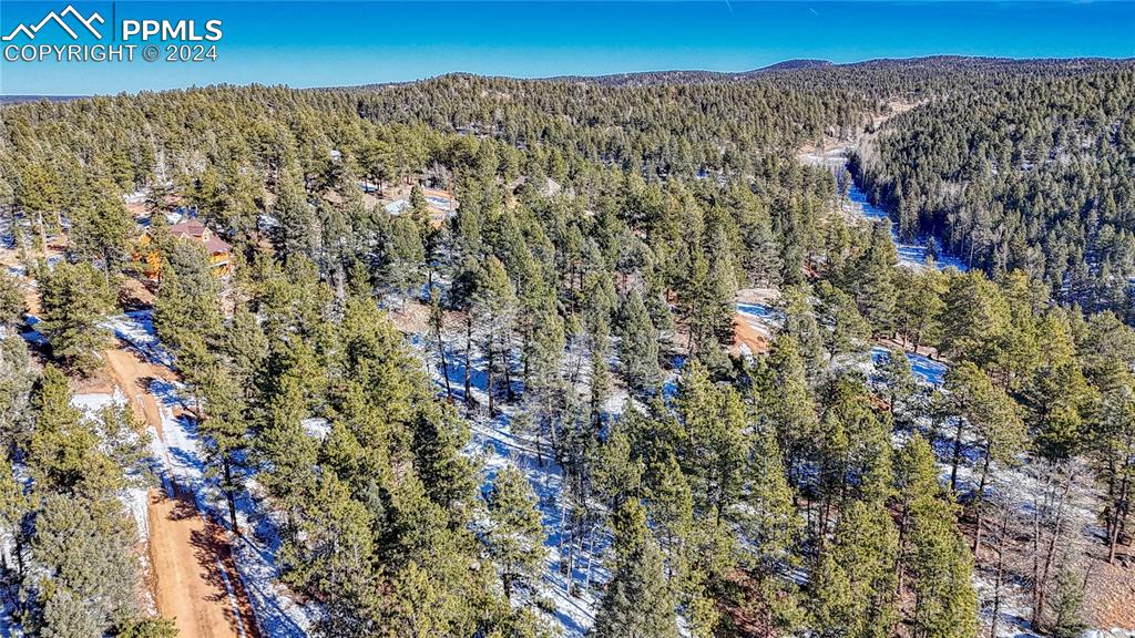 79 Huntsman Circle Florissant CO 80816