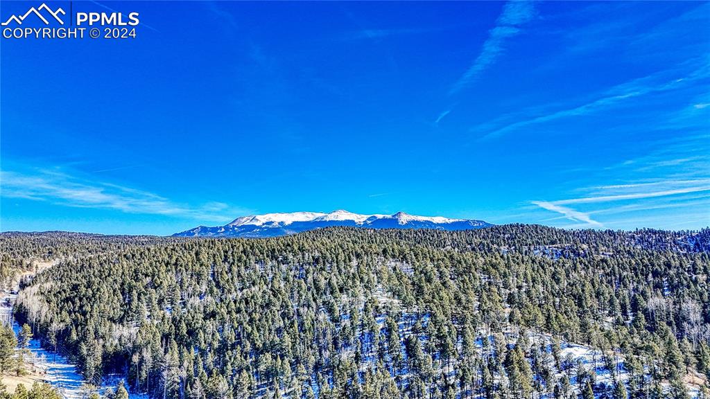 79 Huntsman Circle Florissant CO 80816