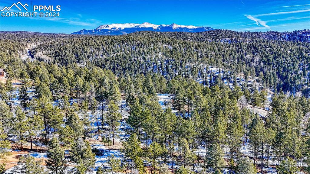 79 Huntsman Circle Florissant CO 80816