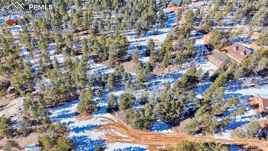 79 Huntsman Circle Florissant CO 80816