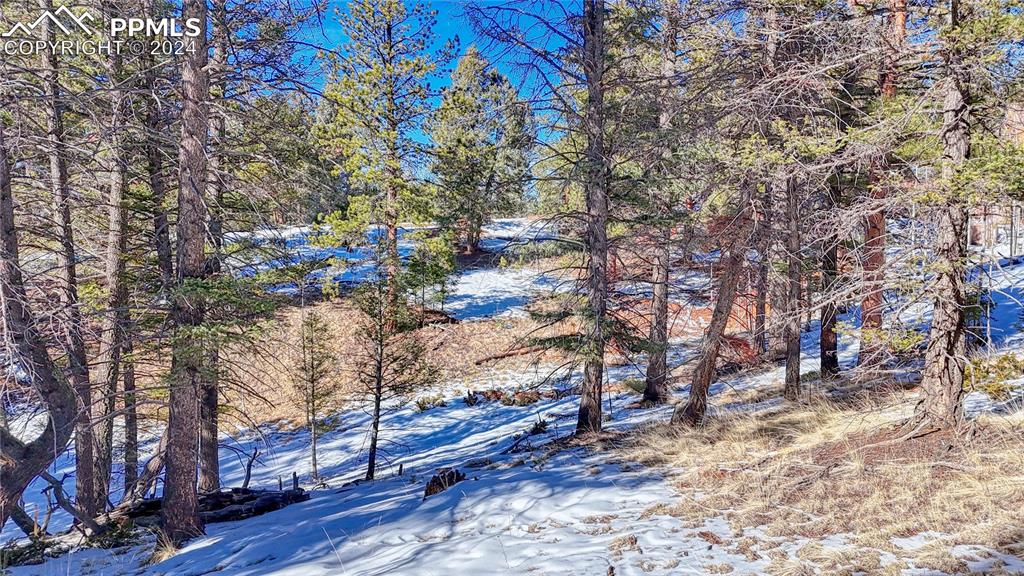 79 Huntsman Circle Florissant CO 80816