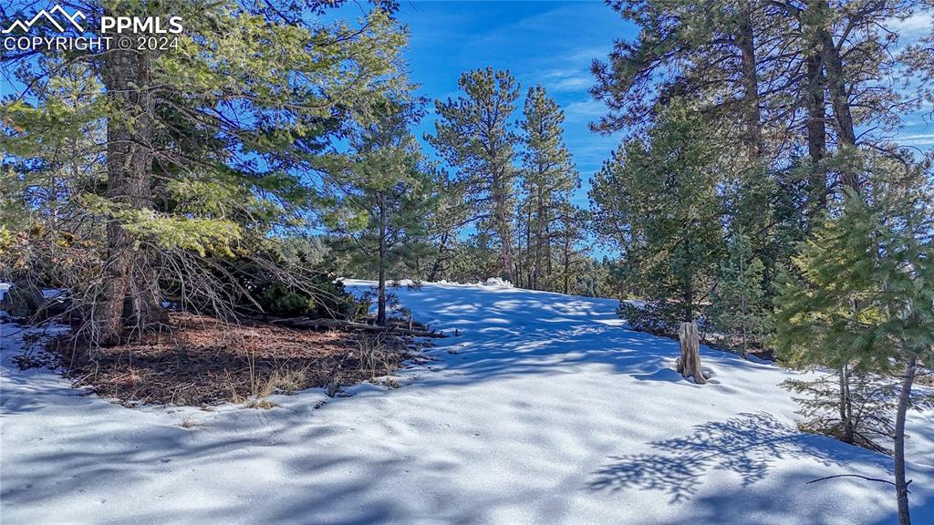 79 Huntsman Circle Florissant CO 80816