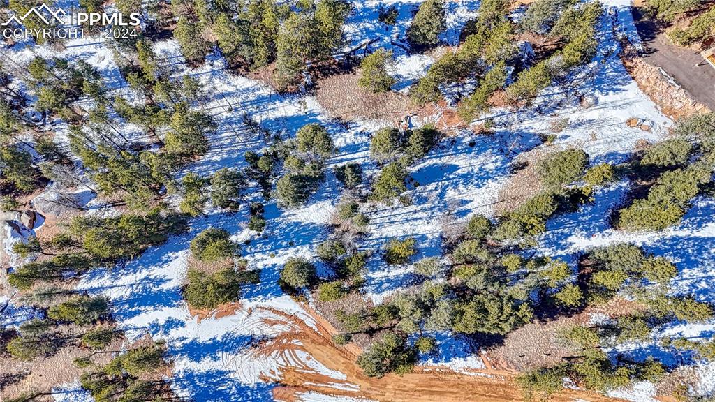 79 Huntsman Circle Florissant CO 80816