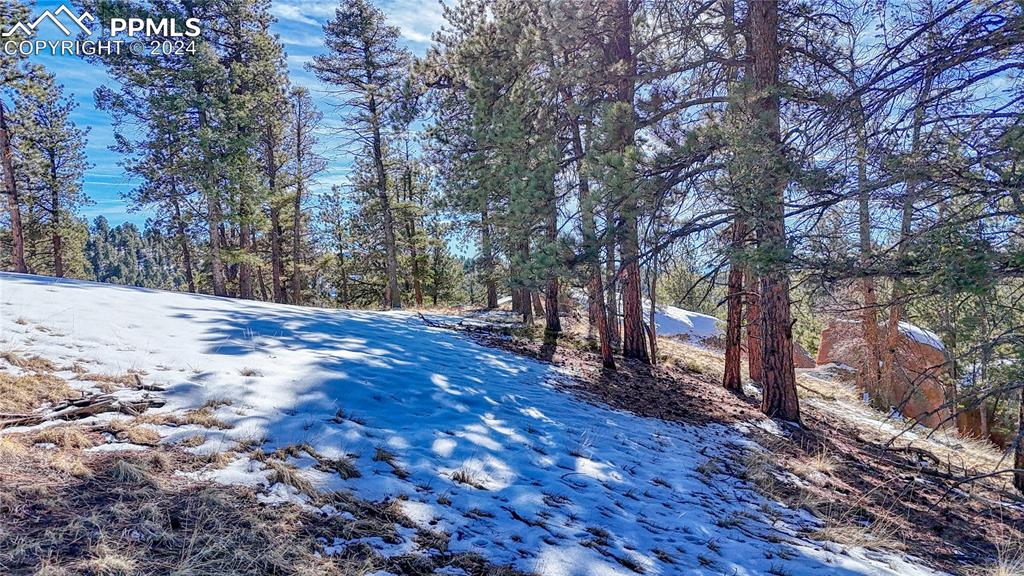79 Huntsman Circle Florissant CO 80816