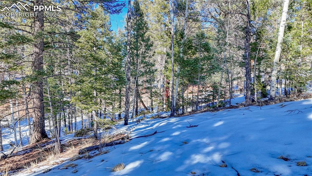 79 Huntsman Circle Florissant CO 80816