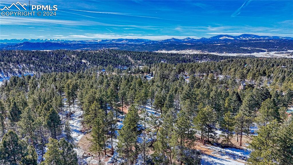79 Huntsman Circle Florissant CO 80816