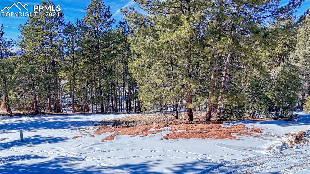 79 Huntsman Circle Florissant CO 80816