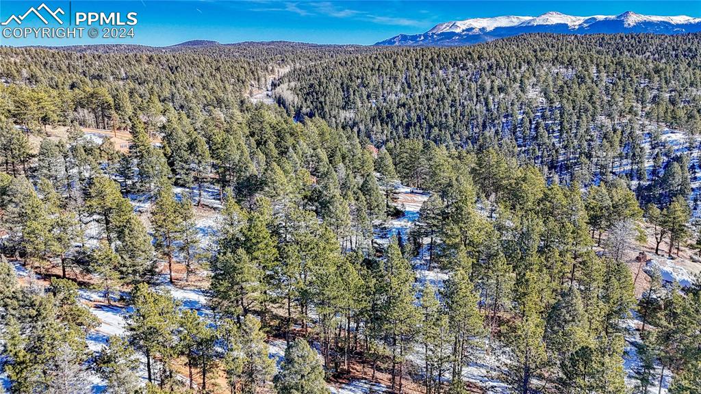 79 Huntsman Circle Florissant CO 80816