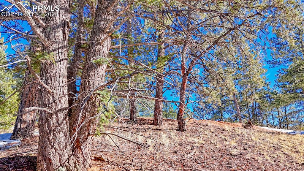 79 Huntsman Circle Florissant CO 80816