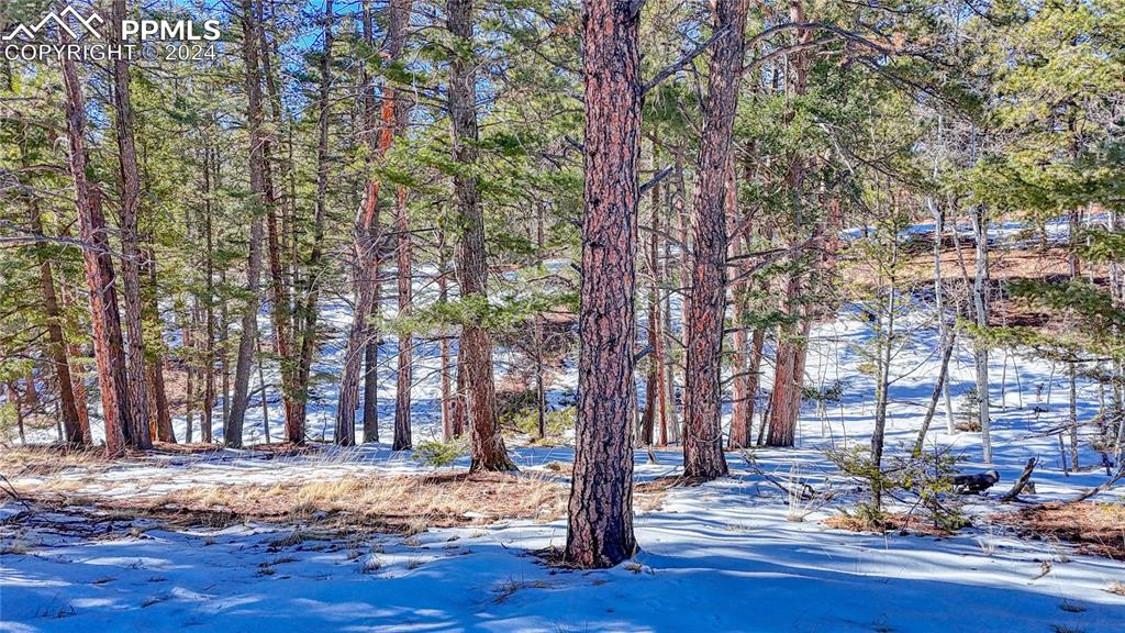 79 Huntsman Circle Florissant CO 80816