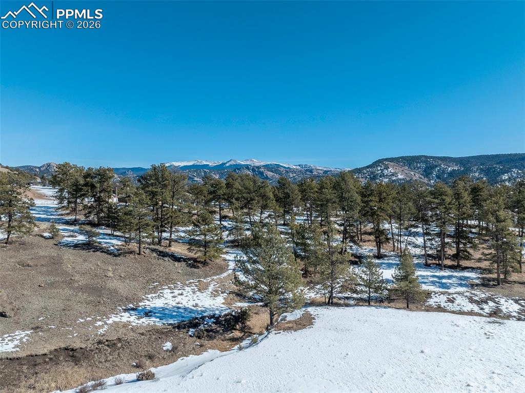 146 Pennsylvania Avenue Florissant CO 80816