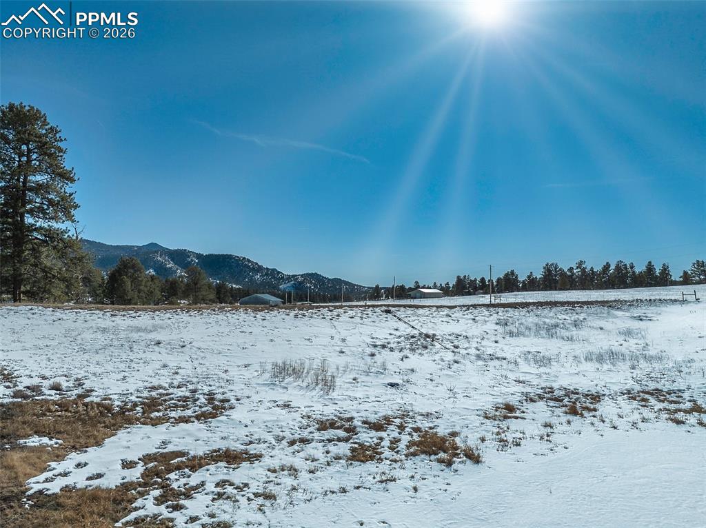 146 Pennsylvania Avenue Florissant CO 80816