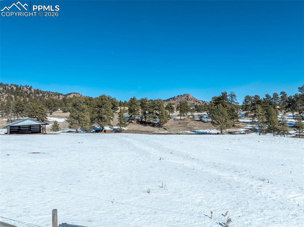 146 Pennsylvania Avenue Florissant CO 80816