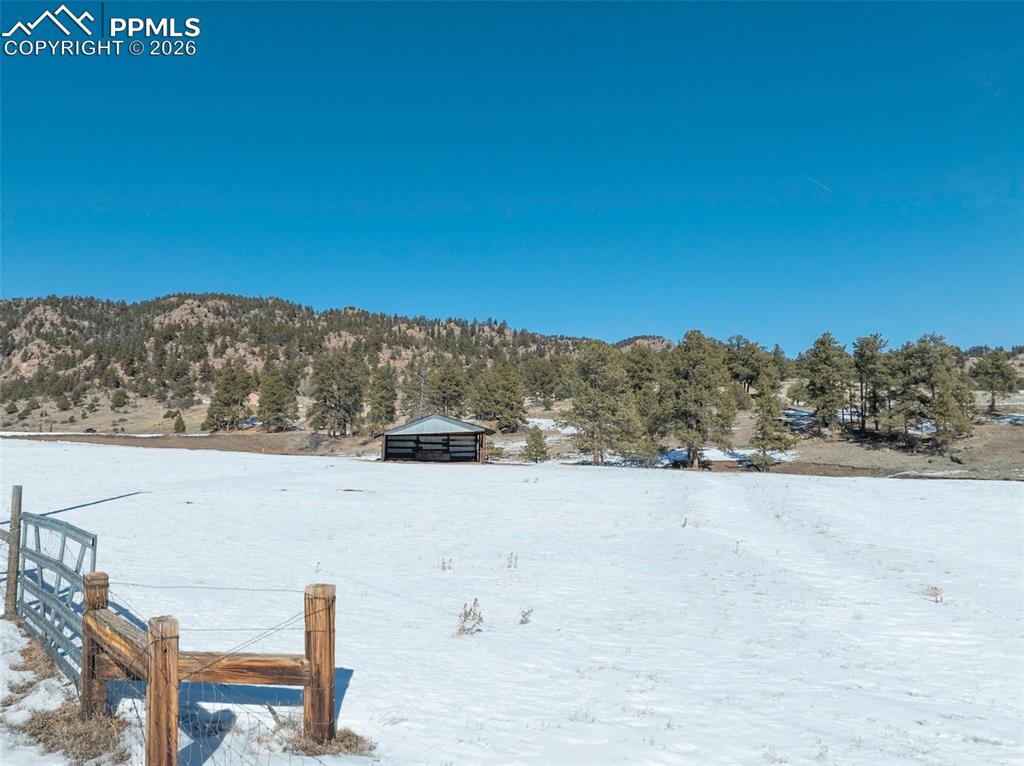 146 Pennsylvania Avenue Florissant CO 80816