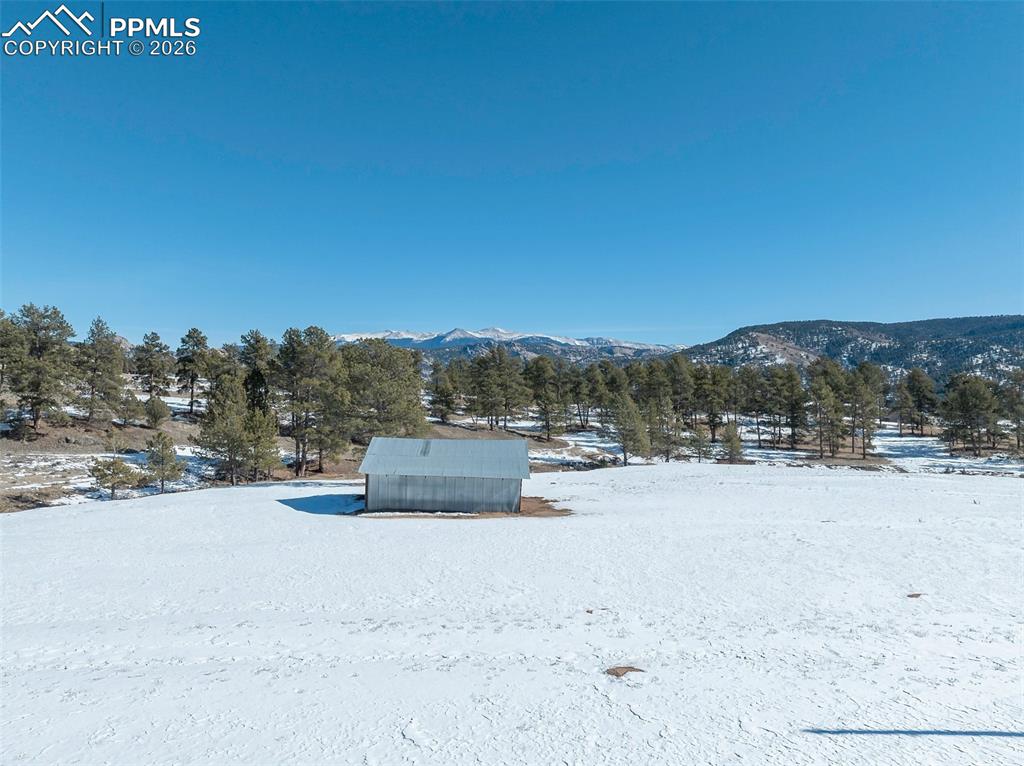 146 Pennsylvania Avenue Florissant CO 80816
