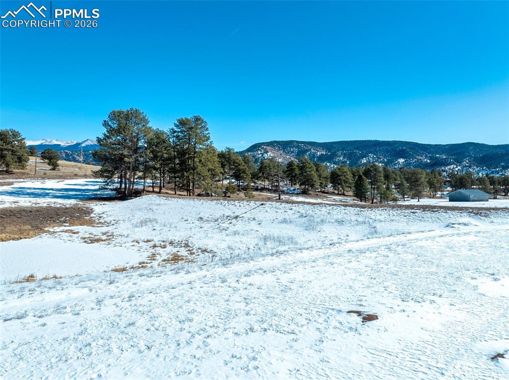 146 Pennsylvania Avenue Florissant CO 80816