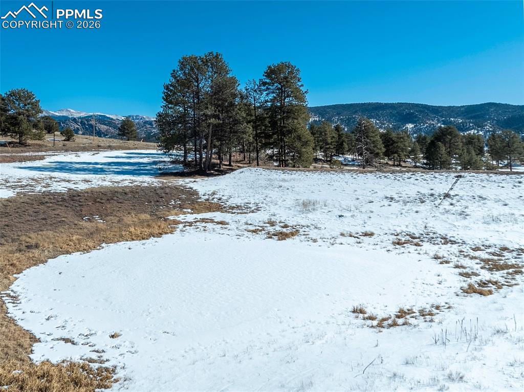 146 Pennsylvania Avenue Florissant CO 80816