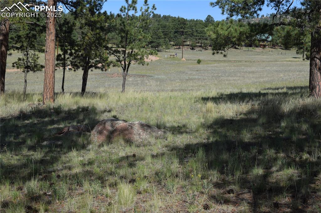431 High Chateau Road Florissant CO 80816