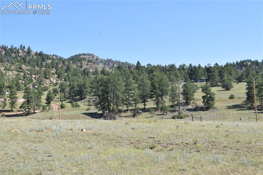 431 High Chateau Road Florissant CO 80816