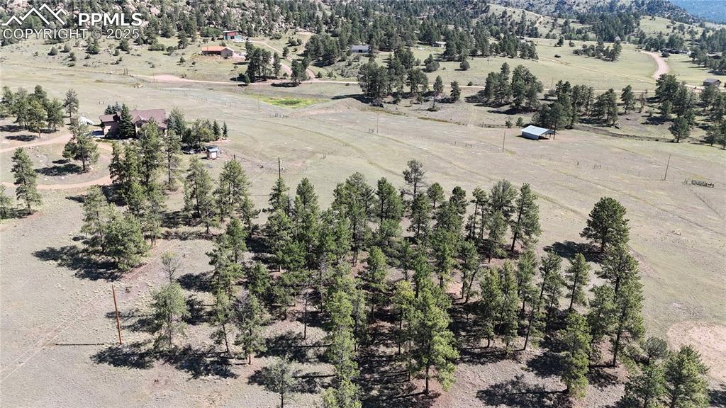431 High Chateau Road Florissant CO 80816