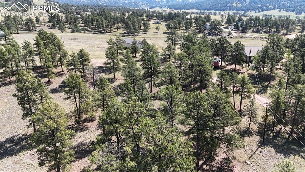 431 High Chateau Road Florissant CO 80816
