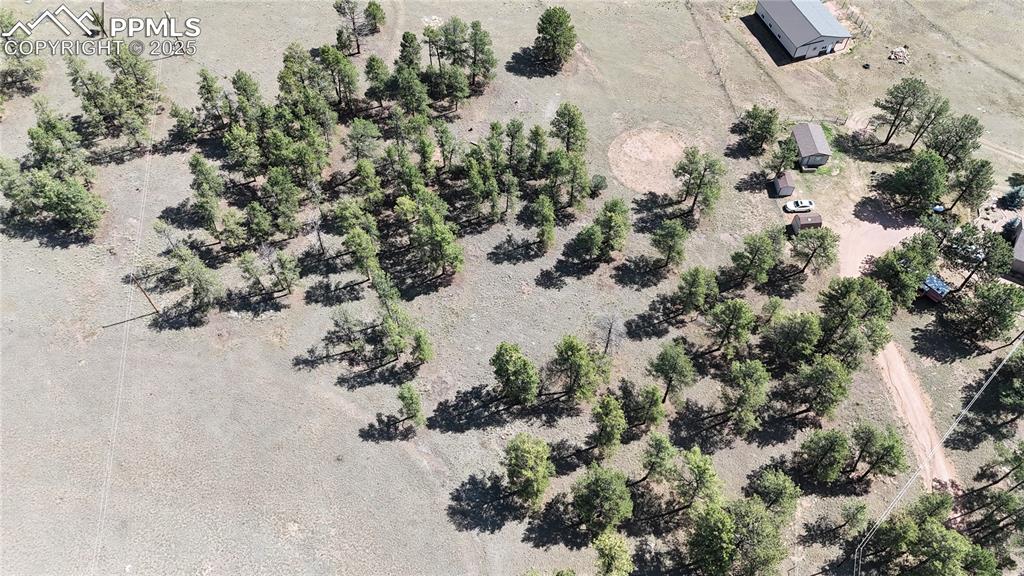 431 High Chateau Road Florissant CO 80816