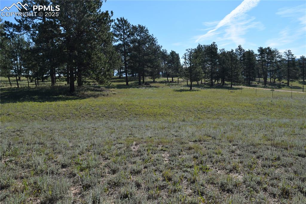 431 High Chateau Road Florissant CO 80816
